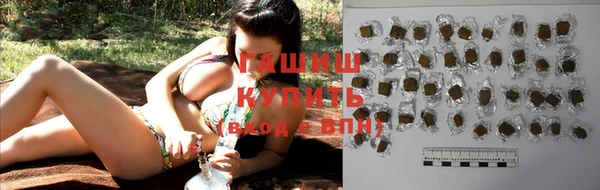 индика Костерёво