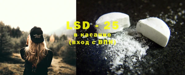 индика Костерёво