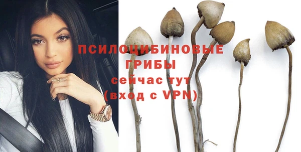 гидропоника Коряжма