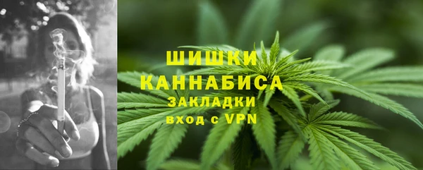 индика Костерёво