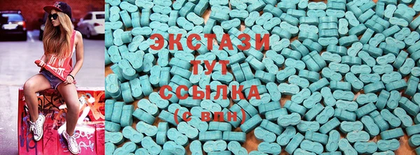 индика Костерёво