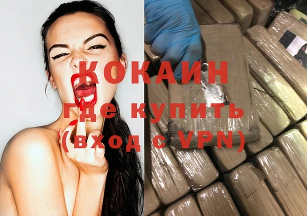 индика Костерёво