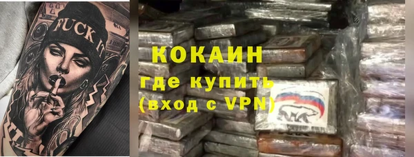 индика Костерёво