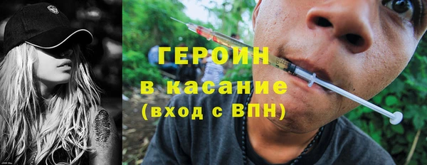 индика Костерёво