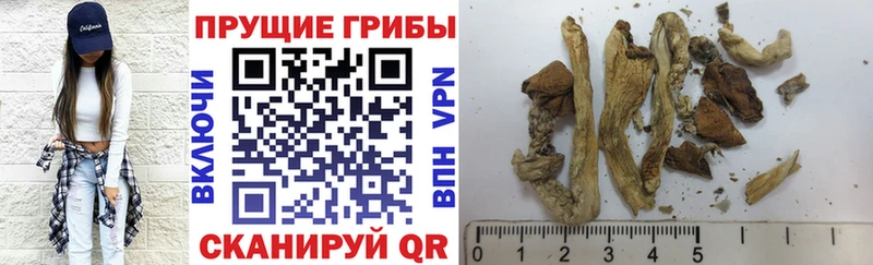 Псилоцибиновые грибы мухоморы  Купить где  Мензелинск 